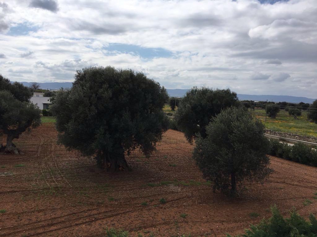 Savelletri Villa Anna מראה חיצוני תמונה